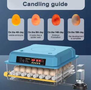 Incubateur à œufs pour 70 œufs, conçu pour les exploitations agricoles à domicile, contrôle précis de la température, taux d'éclosion jusqu'à 98% - Product Image 3