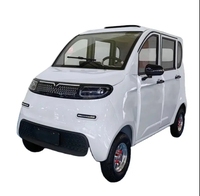 Nuevos Autos Eléctricos Mini de 4 Plazas para Damas y Personas Mayores