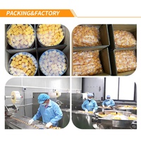 Uitstekende Halal gecertificeerde bulk flesverpakking kauwbaar, sappig, zacht mango gummy snoep fruitig fruit snack zoete smaak exportkwaliteit