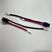 Cable Adaptador de Cargador para Coche con Control Remoto Personalizado