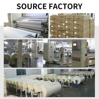 Film DTF PET de haute qualité en gros, 75um, pelable à froid, pour l'impression textile sur vêtements, film DTF