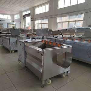 Máquina Profesional de Lavado de Rodillos <span class=keywords><strong>para</strong></span> Plantas de Procesamiento de Vegetales, Rendimiento Estable, Alta Eficiencia - Product Image 4