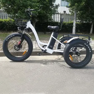 리튬 배터리 및 모터 키트 3 휠 500W 800W 허브 모터 전기 세발 자전거