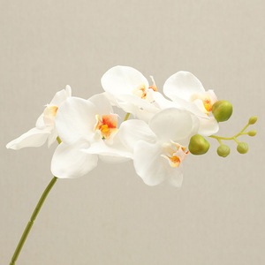 Orquídea Phalaenopsis Blanca de Tallo Corto Simulada de Alta Calidad, Planta Artificial para Fotografía con Tacto Húmedo y Realista - Product Image 6