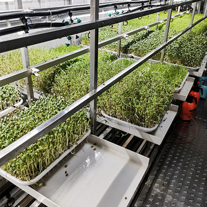 Hệ Thống Thức Ăn Gia Súc Thủy Canh Thức Ăn Gia Súc Thủy Canh Nuôi Lúa Mạch - Product Image 5