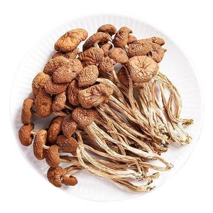 Agrocybe <span class=keywords><strong>Aegerita</strong></span> Champignon Entier Brut Cultivé Séché 1kg - Product Image 4