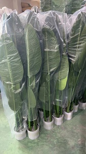 Guangdong Simulated Decorative Artificial Ornamental Traveler Banana Tree <strong>Plastic</strong> <strong>Plants</strong> for Home Hotel - Product Image 5