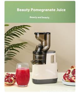मूल मिनी रस मशीन घर अदरक सब्जी और दूध चाय की दुकान अपशिष्ट रस विभाजक दैनिक उपयोग के लिए सुविधाजनक - Product Image 5