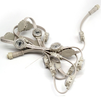 Lampes LED à points RVB/RVBW programmables automatiquement IP67 30mm SMD3535 12V en PVC pour l'intérieur, l'extérieur, le paysage et les attractions