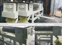 Industriële schroefpers ontwateringsmachine vaste-vloeistof scheider voor fruit- en groentesap maken en voedselafvalverwerking
