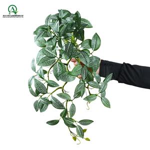 ต้นไม้เทียมตามใบ <span class=keywords><strong>fittonia</strong></span> แขวนอยู่ที่บ้านสวนสำหรับสำนักงานที่หลงทางการแขวนใบไม้สีเขียวไม้เลื้อยเทียม - Product Image 3