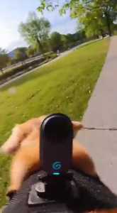 Caméra d'action Insta360 GO 3S - Caméra de vlogging portable 4K ultra-compacte, vue à la troisième personne pour animaux de compagnie, stabilisation, 140 min d'enregistrement, étanche Go3s - Product Image 4