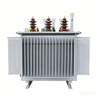 Transformateur immergé dans l'huile pour éolienne, série S11, 10 kV 200 kVA, à enroulement en cuivre, refroidissement ONAN, certifié ANSI CSA, fabriqué par un professionnel.