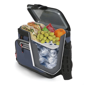 Sacs isothermes double couche de luxe au prix d'usine, 20 litres de glace souple pendant deux jours, logo personnalisé, stockage de boîtes de conserve - Product Image 1