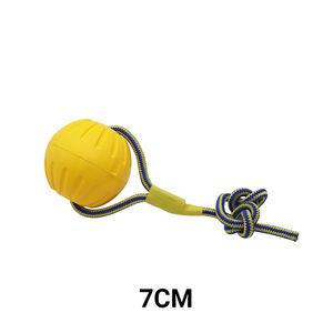 Sıcak satış doğal EVA bir halat üzerinde yüzen köpük topu atma topu köpük oyuncaklar köpekler lastik top halat ile - Product Image 2
