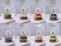 Pissenlit véritable préservé sous cloche en verre avec éclairage LED, fleur éternelle et moelleuse, base en liège naturel, cadeau pour la Saint-Valentin et la remise des diplômes