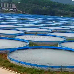SDM grand équipement d'aquaculture commerciale d'aquarium de réservoir de poissons résistant pour l'élevage de tilapia d'<span class=keywords><strong>esturgeon</strong></span> et la mise en commun de poissons - Product Image 2