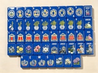 Jeu de tuiles de mahjong américain en acrylique bleu roi personnalisé OEM, 160 pièces, pour fête du thé en jardin, marque privée, vente en gros, jeu de société