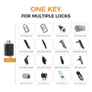 Clé principale de verrouillage à came passive étanche pour boîte de contrôle du trafic ATM avec logiciel gratuit Acheter - Product Image 6