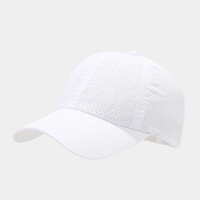 Gorras de béisbol deportivas personalizadas al por mayor, impermeables, de secado rápido, con orificios cortados a láser, de color sólido, transpirables, de malla, para golf, modelo común.