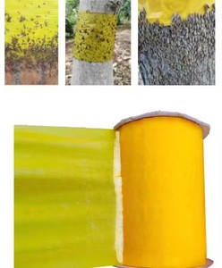Pièges à insectes adhésifs écologiques solides et imperméables, ruban adhésif pour serres, vergers, ceintures vertes, ravageurs, araignées, serpents - Product Image 5