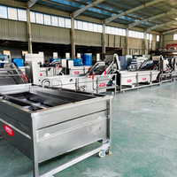 Automatische productielijn voor diepvriesfruit en -groenten, inclusief apparatuur voor het verwerken van diepvriesappels in blokjes