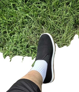 Men Casual Canvas Slip-On Loafers Comfortable Flat Sole Shoes for Daily Walking, Office Commute and Relaxed Daily Activities - Product Image 1