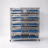 Cage à cailles automatique pour la collecte des œufs, équipement avicole à 5 niveaux, cages en batterie pour l'élevage des cailles et des petits oiseaux