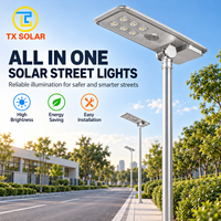 Lampu Jalan Tenaga Surya All in One TX 30W-150W Dengan Pengusir Burung Lampu Jalan Tenaga Surya LED
