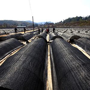 Black HDPE Knitted Flame Retardant Agricultural Greenhouse Vegetable <strong>Shade</strong> Sail Sun Protection <strong>Net</strong> for Garden <strong>Balcony</strong> Rooftop - Product Image 5