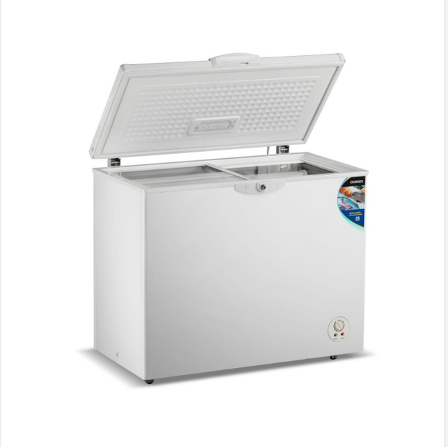 Fashion Appearance Freezer 240L Commercial Ice Cream Chest Freezer with Double Temperature