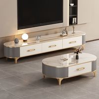 Table basse en pierre de luxe légère 2024 et combinaison de meuble TV ovale moderne, mobilier simple pour petits appartements