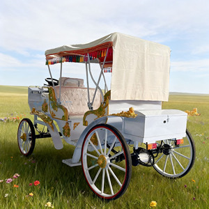 Une élégante calèche électrique sans chevaux pour les visites touristiques, les mariages, les excursions royales, les excursions touristiques, la calèche européenne à chevaux. - Product Image 2