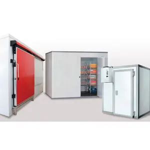 맞춤형 절연 폴리 우레탄 힌지 도어 냉동 스윙 슬라이딩 냉동실 콜드 룸 보관 도어 제조업체