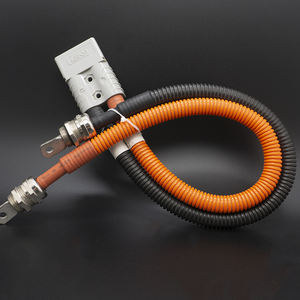 工厂定制高品质 2 针 120A 连接器至电缆接头和管端子汽车线束 - Product Image 1