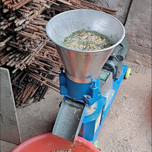 Macchina per la Produzione di Pellet Affondanti per Animali, per Maiali, Conigli, Polli, Anatre, Macchinari per la Lavorazione di Mangimi - Product Image 2