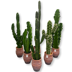 Ornements de décoration de fenêtre pour intérieur, grandes plantes, boule de pilier immortelle du Moyen-Orient, en matériau PU, <span class=keywords><strong>herbe</strong></span> artificielle, cactus - Product Image 5