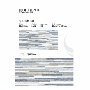 Carreaux de mur extérieur en porcelaine 300x600mm, architecture moderne - Product Image 1