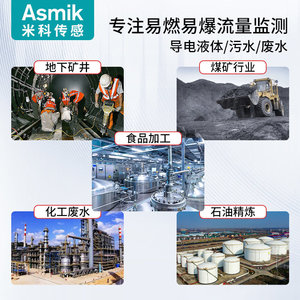 Medidor de Flujo Electromagnético Asmik con Instalación de Brida para Medición de Líquidos Conductivos, Nivel de Precisión 0.5 - Product Image 4