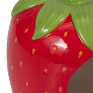 Mangiatoia per uccelli in ceramica a forma di fragola, decorativa da appendere all'esterno per l'arredamento del giardino - Product Image 6