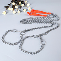 Correa de Cadena para Perro Cromada Anti-Mordidas con Collar a Juego, 160cm, Correa Metálica Resistente para Pasear Mascotas, para Perros Medianos y Grandes