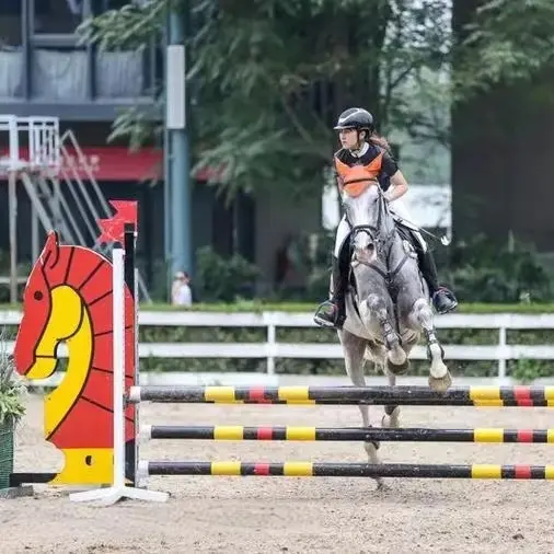 Premium Quality Equestrian Light Weight Aluminum Horse Jump Stand