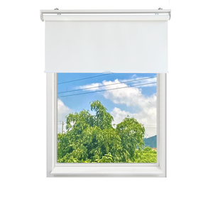 Cordless Spring Mechanism Roller <strong>Blinds</strong> Horizontal Blackout Kids Safety Auto and Slow Damper Easy <strong>Fix</strong> - Product Image 2
