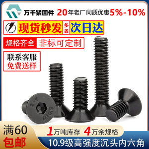 Wanqian Fasteners Countersunk Head Hex Socket Cap Screws M5 M6 M8 M10 Class 10.9 Black Carbon Steel Metric DIN7991 - Product Image 4