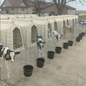 Huche à veau en PE résistant aux UV pour l'équipement de volaille à usage extérieur - Product Image 5