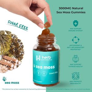 Gomitas de musgo marino irlandés de etiqueta privada, minerales de desintoxicación de impulso de energía de apoyo inmunológico con raíz de bardana Bladderwrack - Product Image 3