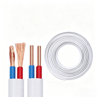 Câble plat à deux conducteurs BVVB-2*2.5/4 mm² à faible perte, norme nationale chinoise, pour la distribution d'énergie principale des immeubles de bureaux