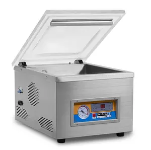 Machine avec fermeture automatique pour aliments, appareil d'emballage sous vide Portable, industriel, certifié CE, DZ-300