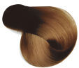 Miele puro marrone 16