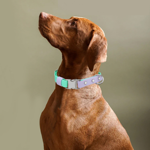 工場直販 カスタム モダン 防水 ストライプ リボン 犬用首輪とリードセット 調整可能 <span class=keywords><strong>PVC</strong></span> ペット用首輪とリード - Product Image 4